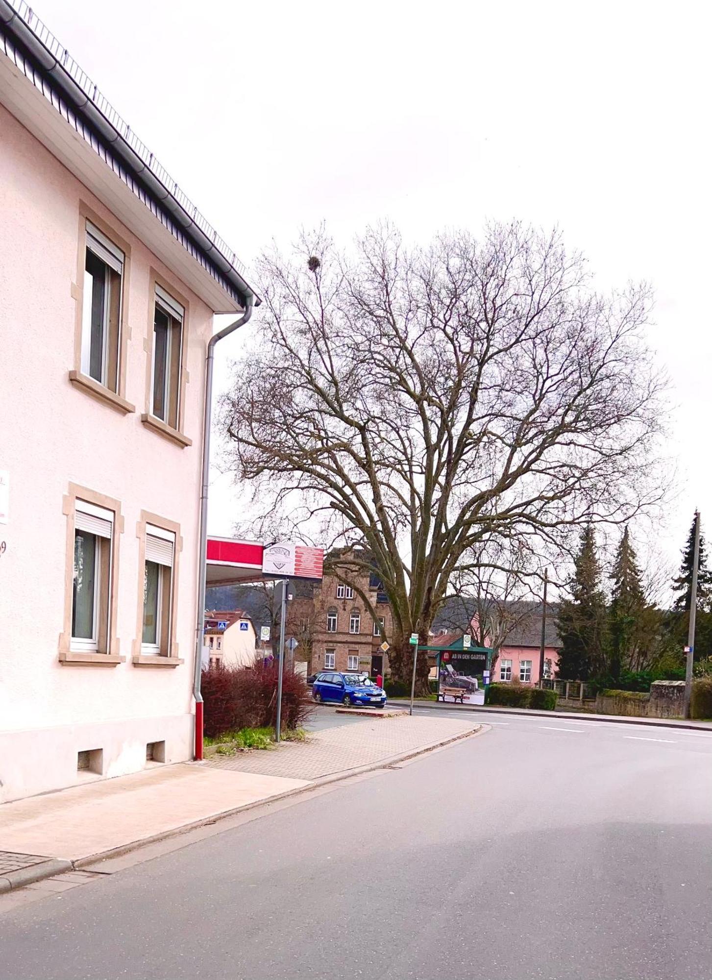 Vinaring Homestay バート・ゾーベルンハイム エクステリア 写真
